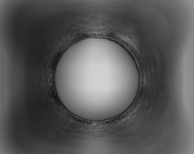 X0000088661350200705250953