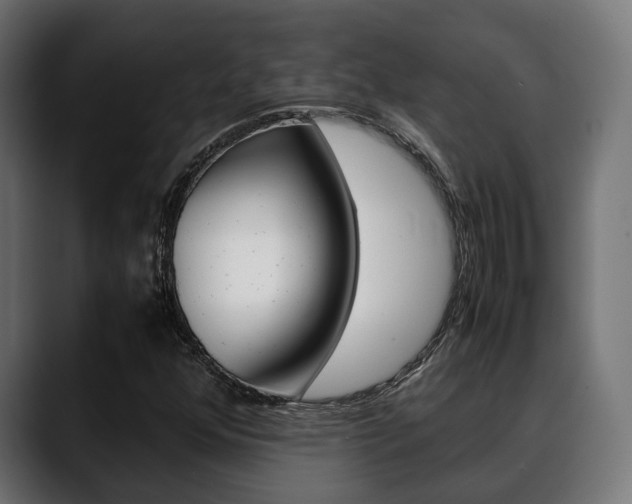 X0000088661352200705250953