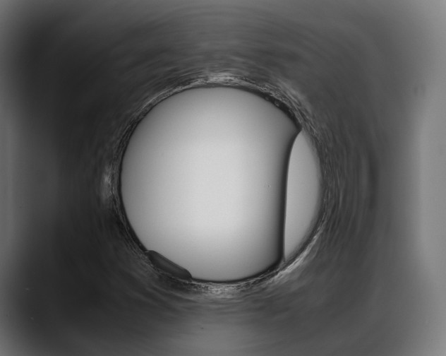 X0000088661353200705250953