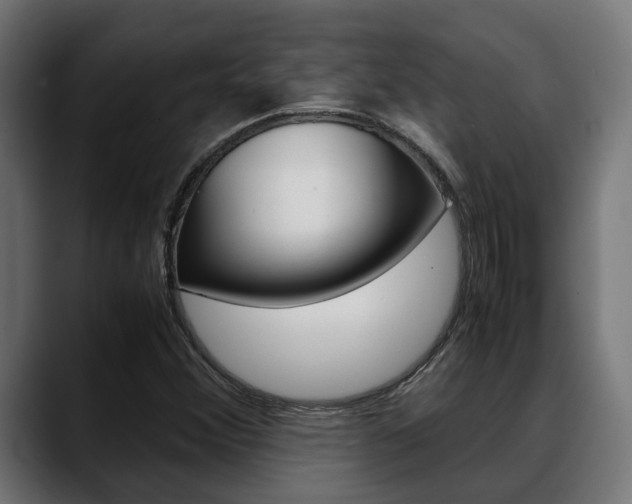 X0000088661356200705250953