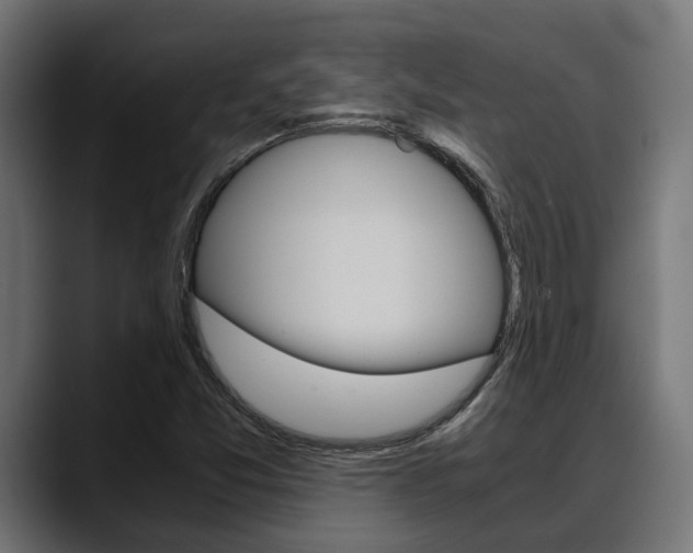 X0000088661357200705250953