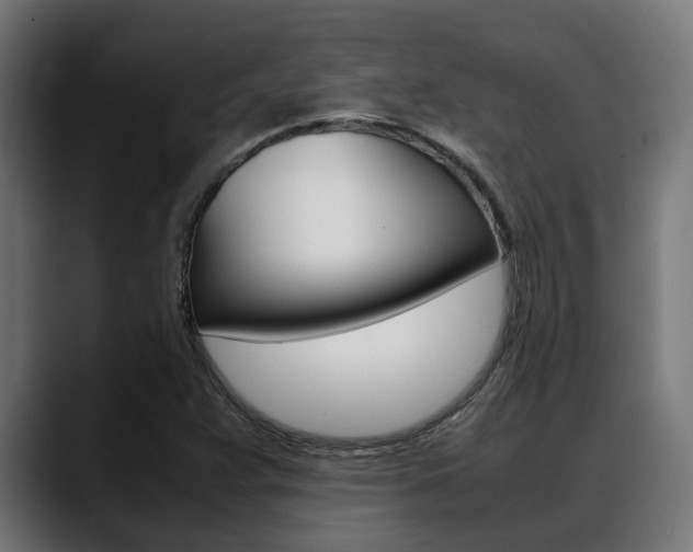 X0000088661359200705250953