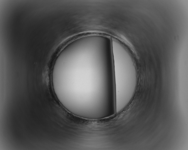 X0000088661360200705250953