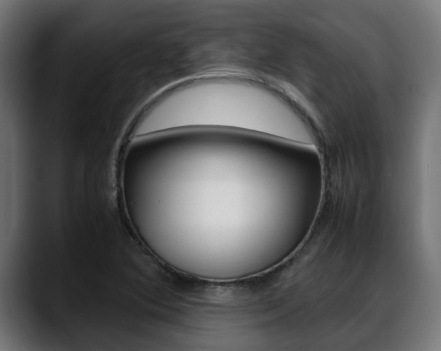 X0000088661364200705250953