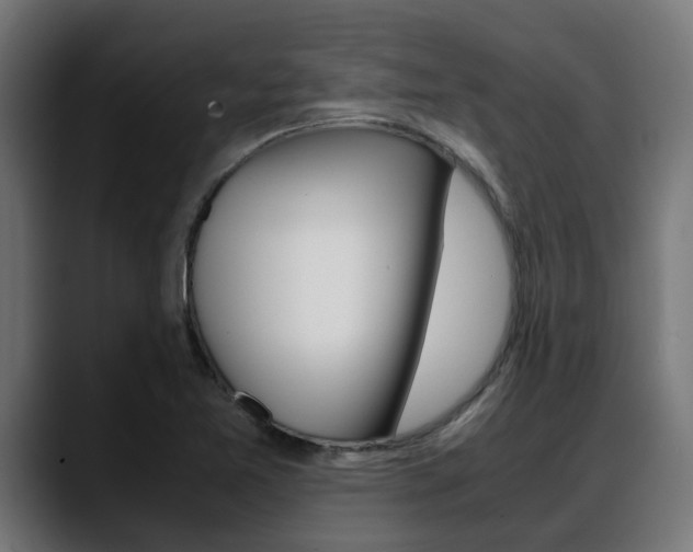 X0000088661365200705250953
