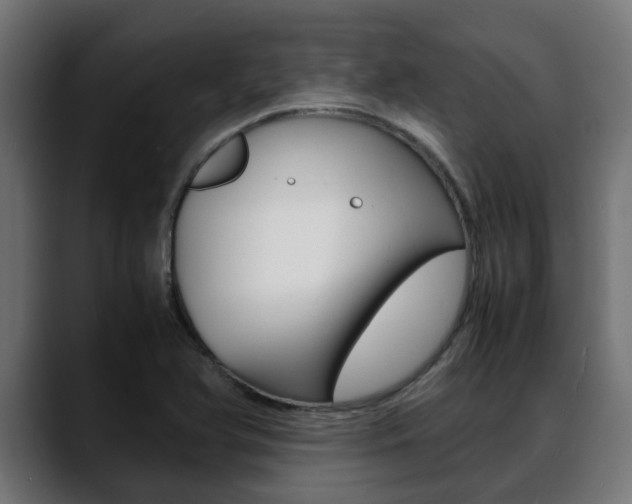 X0000088661366200705250953