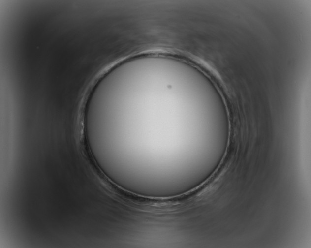 X0000088661367200705250953