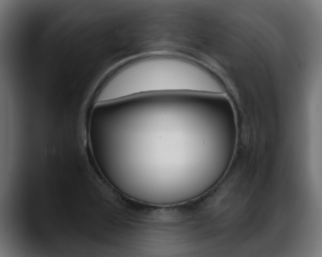 X0000088661368200705250953