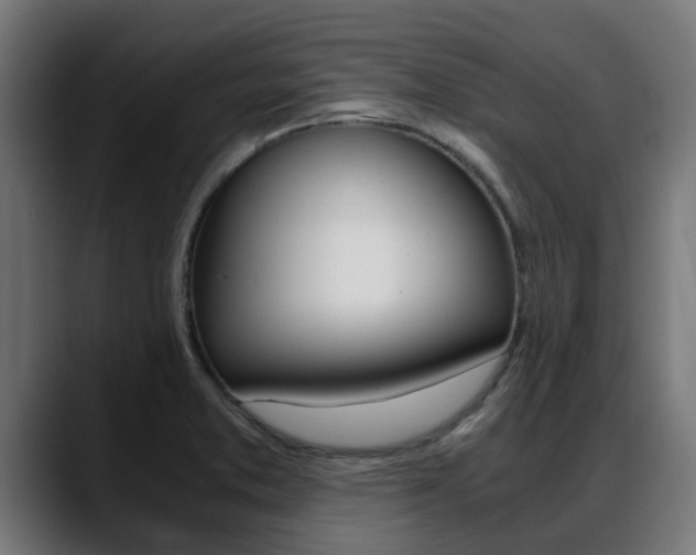 X0000088661373200705250953