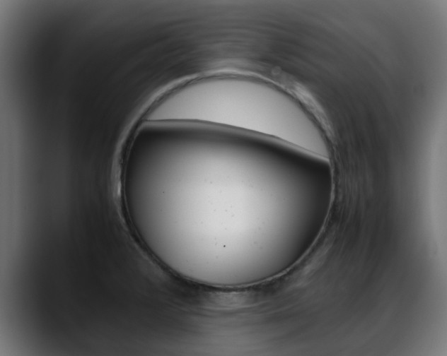 X0000088661376200705250953