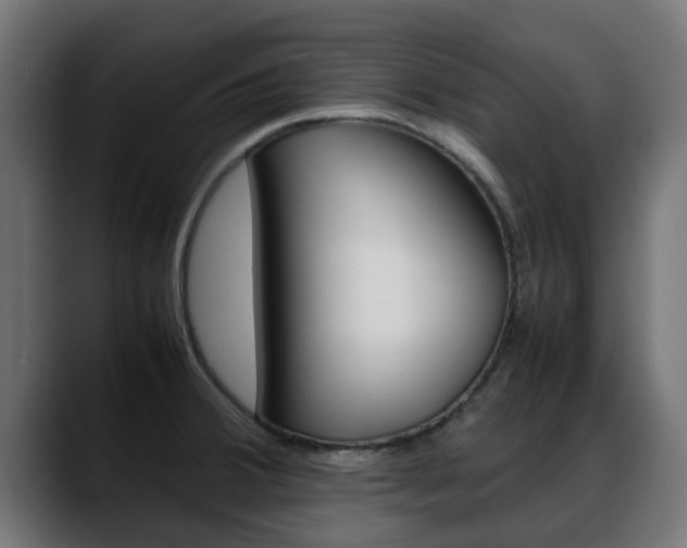 X0000088661380200705250953