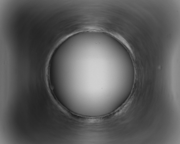X0000088661381200705250953