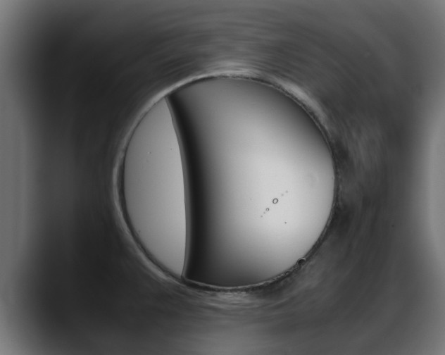 X0000088661383200705250953