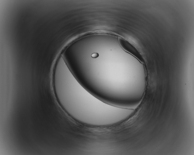 X0000088661384200705250953