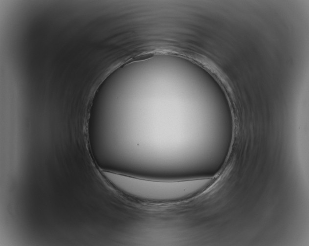 X0000088661385200705250953