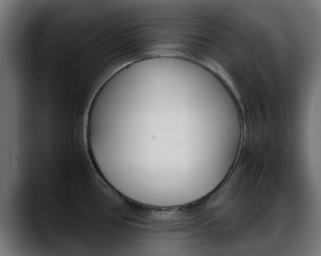 X0000088661386200705250953