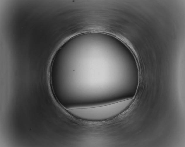 X0000088661389200705250953