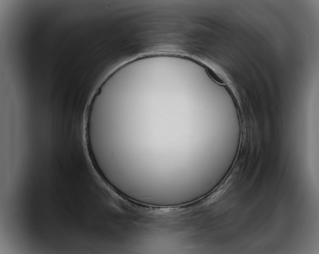 X0000088661390200705250953