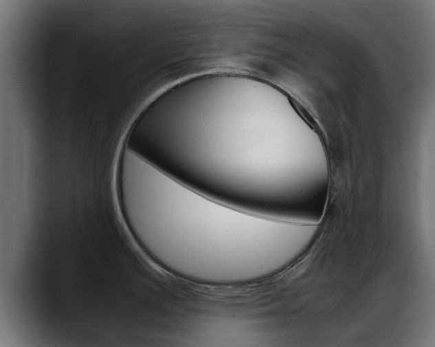 X0000088661391200705250953