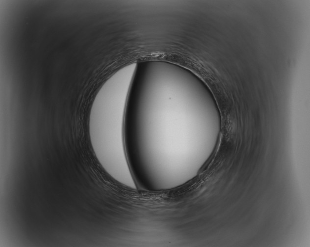 X0000088661394200705250952