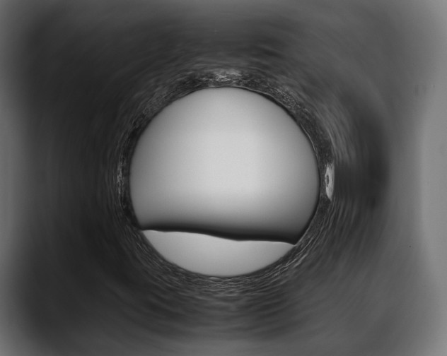 X0000088661395200705250952