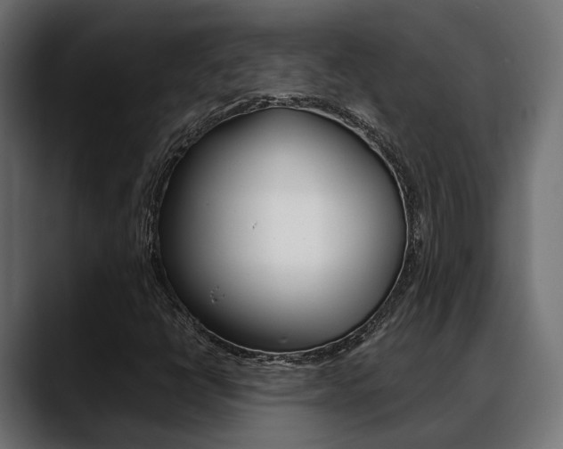 X0000088661398200705250952