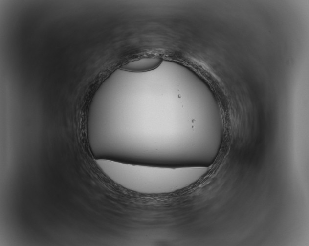 X0000088661399200705250952