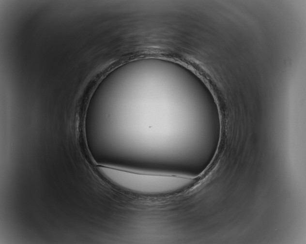 X0000088661402200705250952