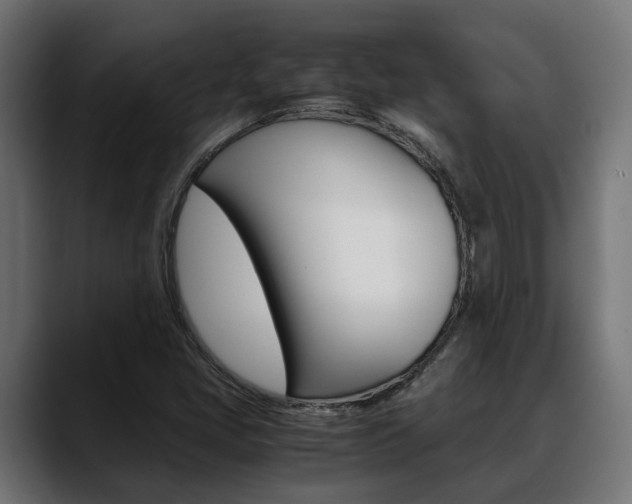 X0000088661405200705250952