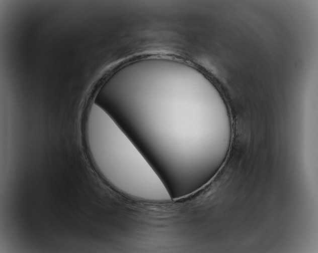 X0000088661408200705250952