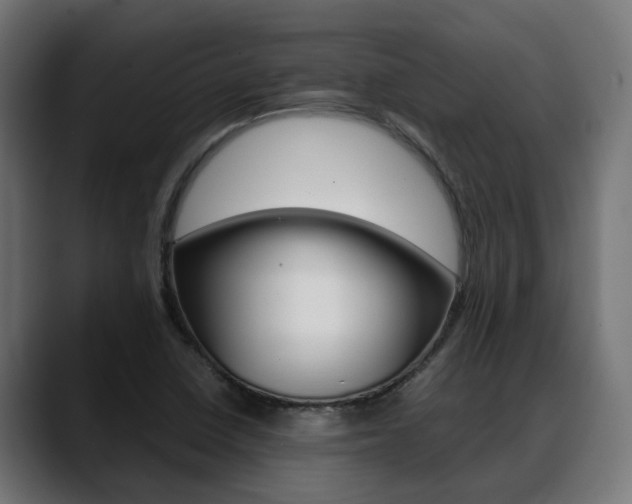 X0000088661410200705250952