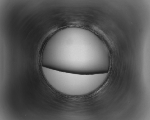 X0000088661411200705250952