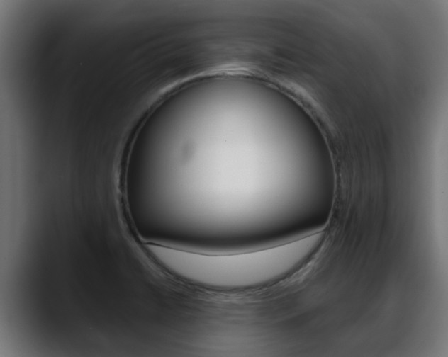 X0000088661422200705250953