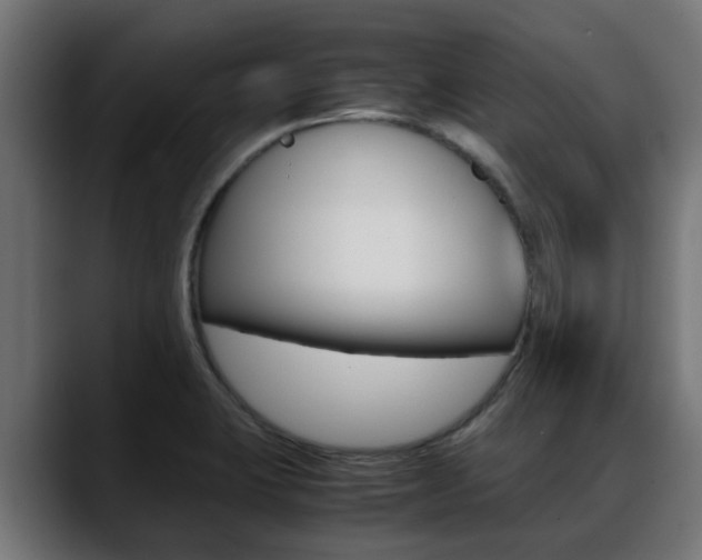 X0000088661423200705250953