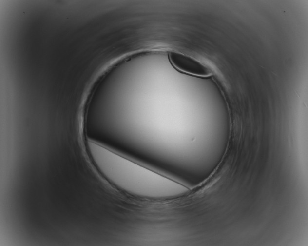 X0000088661424200705250953