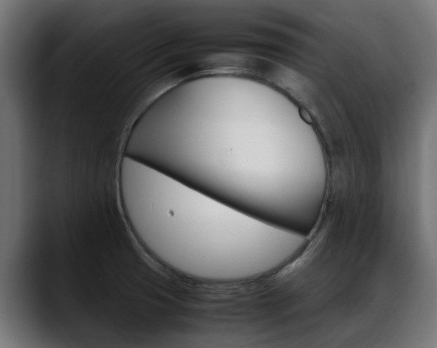 X0000088661425200705250953