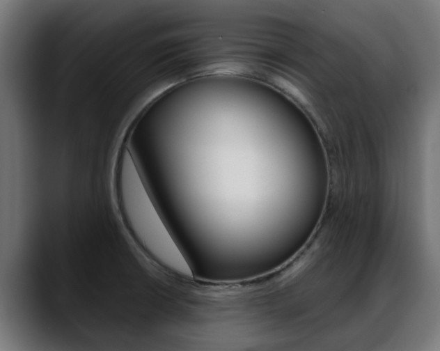 X0000088661426200705250953