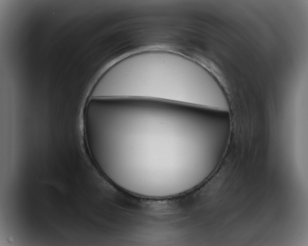 X0000088661428200705250953