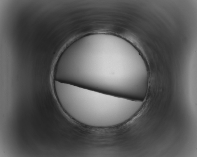 X0000088661429200705250953