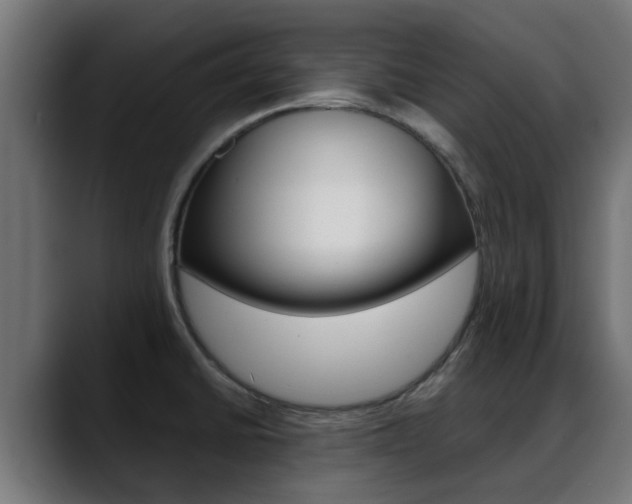 X0000088661430200705250953
