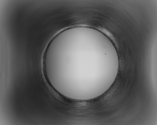 X0000088661431200705250953