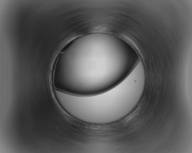 X0000088661434200705250953