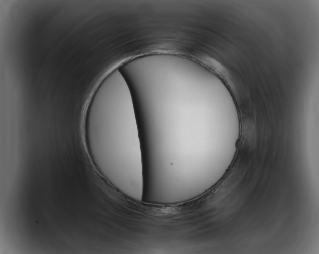 X0000088661435200705250953