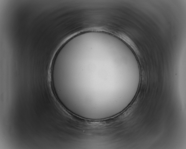 X0000088661436200705250953