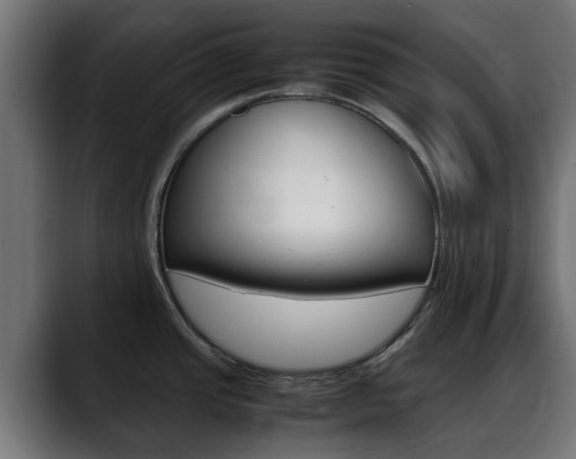 X0000088661437200705250953