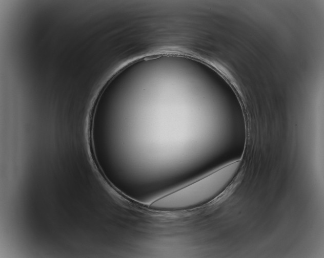 X0000088661438200705250953