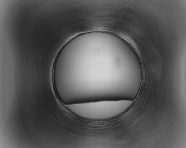 X0000088661439200705250953