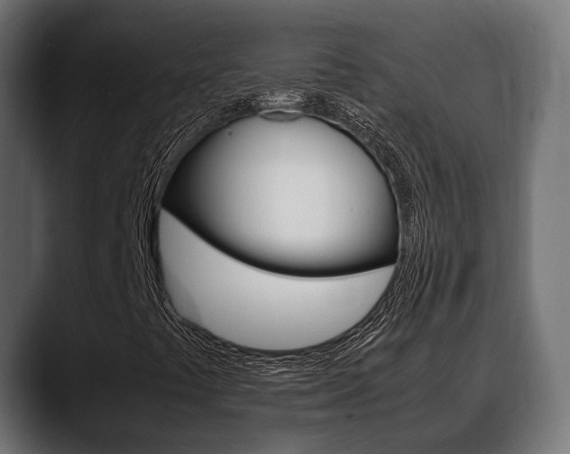 X0000088661441200705250952