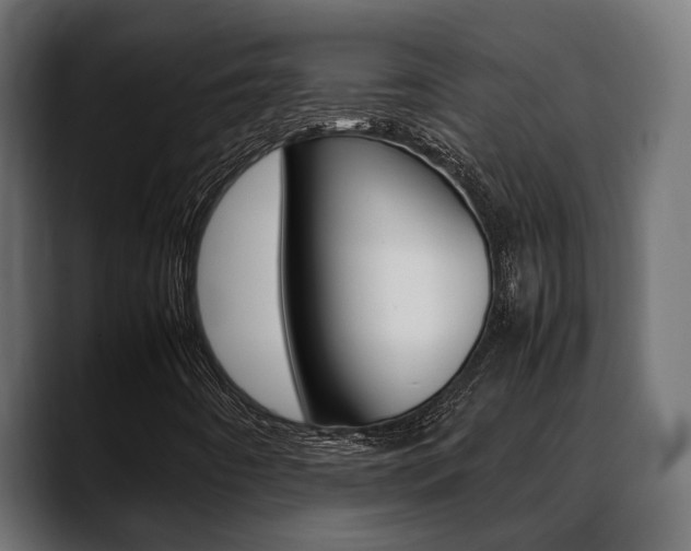 X0000088661442200705250952