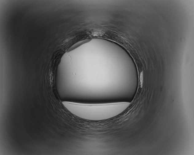 X0000088661443200705250952